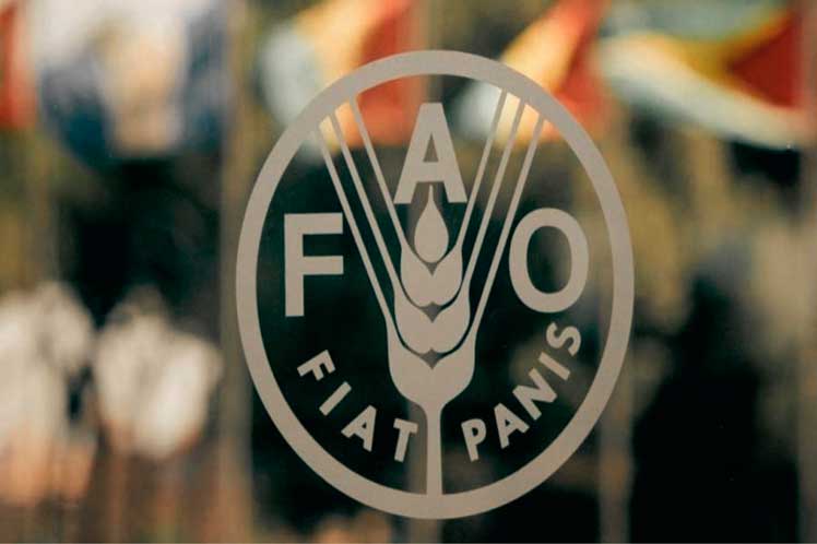 FAO, Panamá, empoderamiento, mujeres