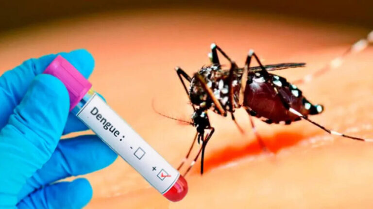 Panama casos dengue