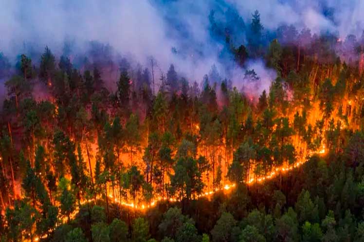 Incendio-Forestal