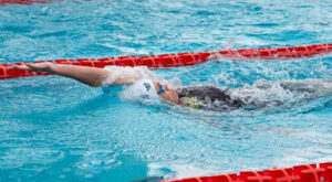 natacion-500x275