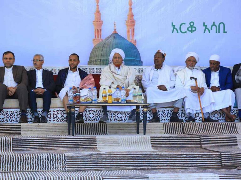 Etiopia-Festividad-Maulid-al-Nabi-768x576