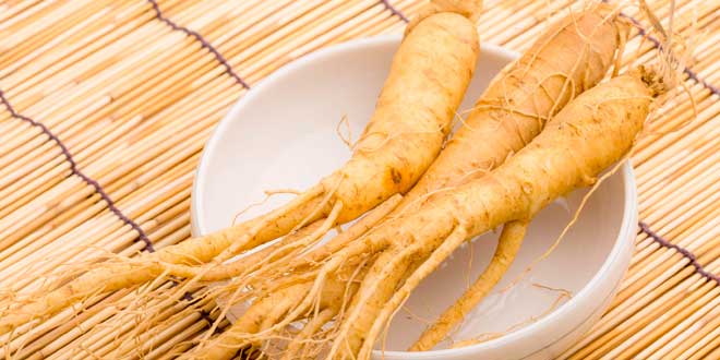 ginseng-siberiano-beneficios